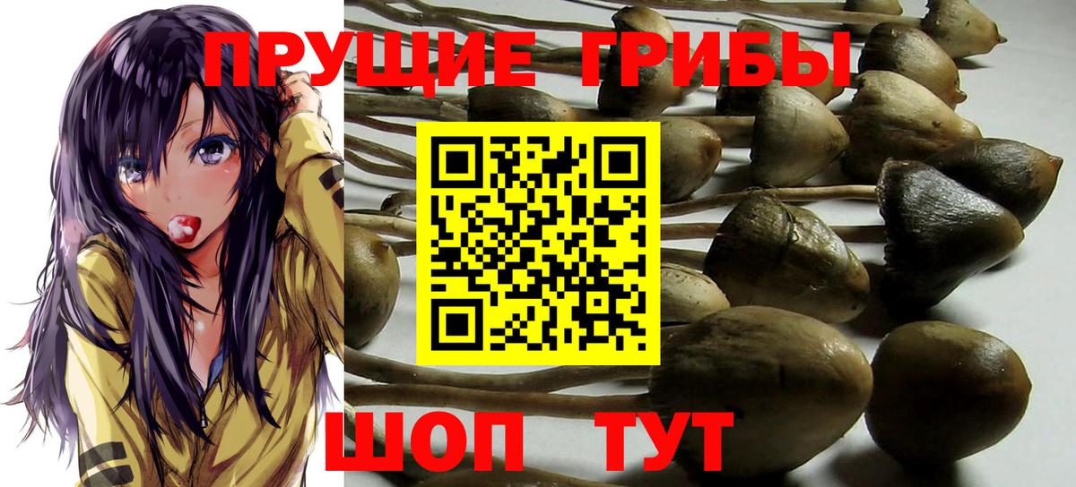 Златоуст  Галлюциногенные грибы GOLDEN TEACHER  Вход с VPN 