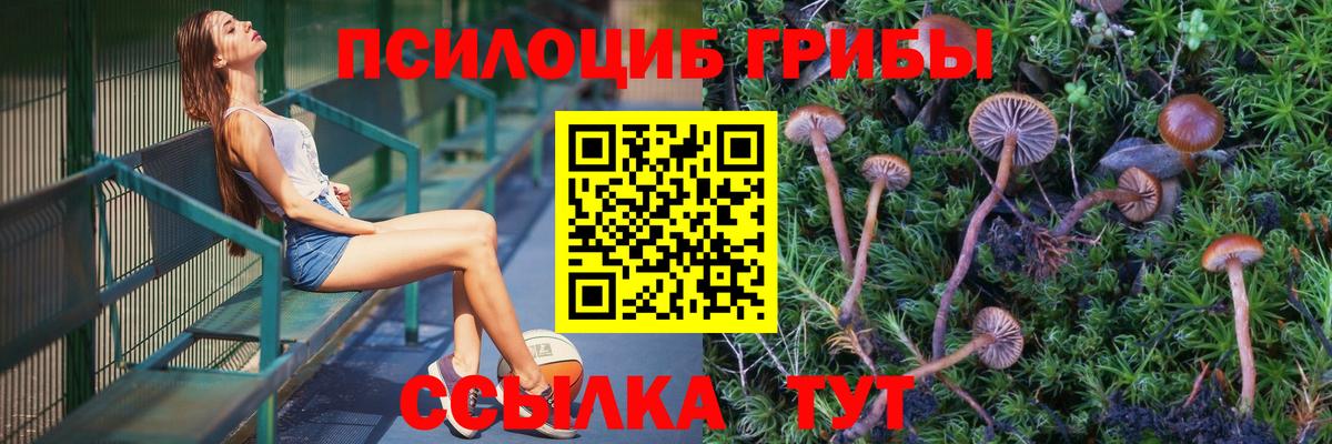 Галлюциногенные грибы ЛСД Златоуст